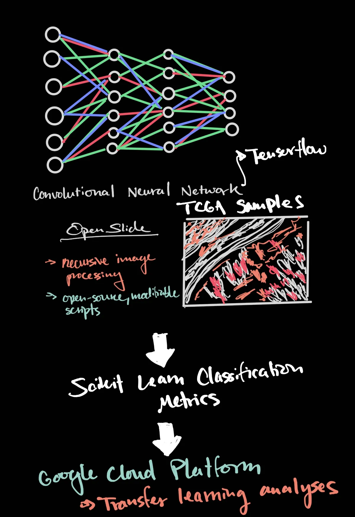 Napkin sketch of project layout, detailing convolutional neural networks, TCGA samples, and more.
