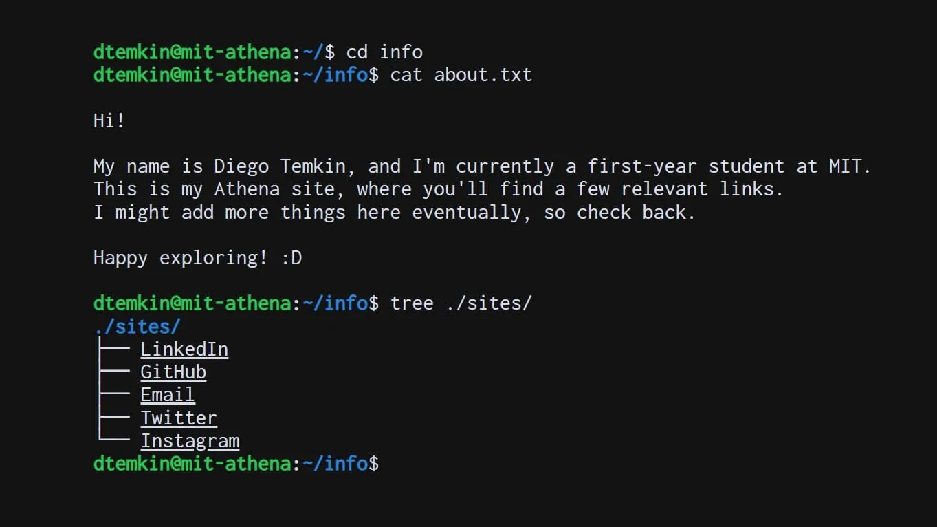Screenshot of terminal-like static landing page